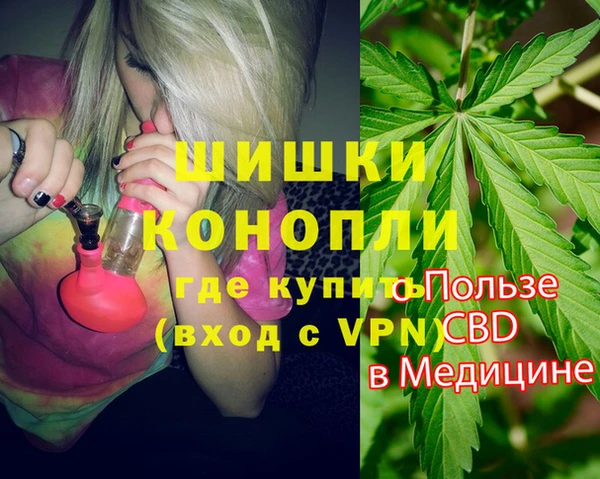 шишки Бородино